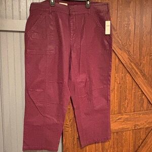 Women’s Pilcro Burgundy Pants